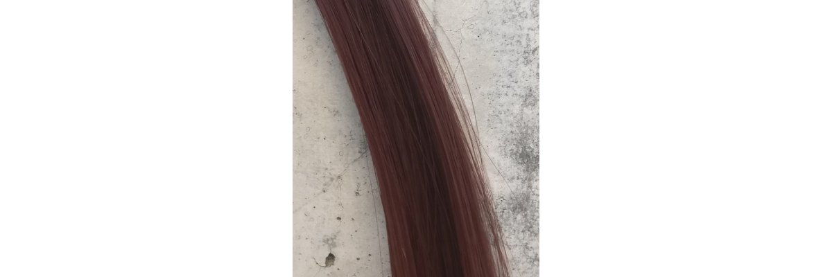 N12 Elegance