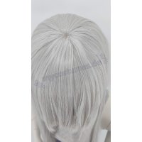 Keiko Wig | 100cm straight with fringe Grey | Blizzard