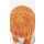 Keiko Perücke 100cm glatt mit Pony Orange | Apricot