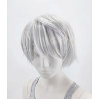 Momo Perücke 30cm kurz gestuft grau | Blizzard