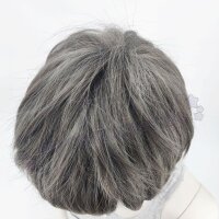 Momo Perücke 30cm kurz gestuft grau | Darkgrey