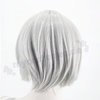 Himari Cosplay Perücke Silber | 30cm kurz glatt Blizzard